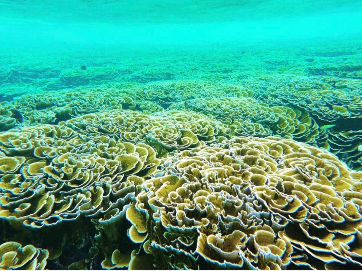 Atholhu Residence Fehendhoo ภายนอก รูปภาพ